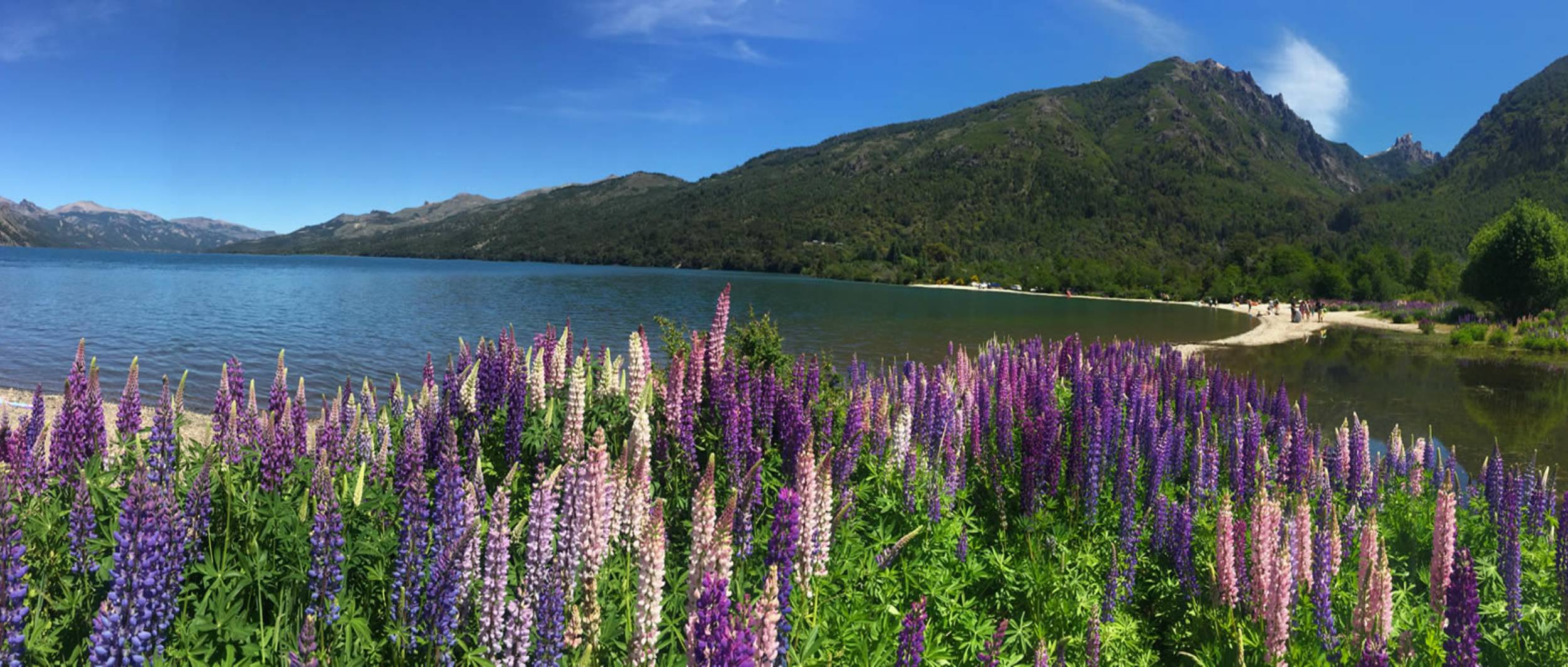 Abedul Apartamentos En San Martin De Los Andes abedul-apartamentos-en-san-martin-de-los-andes